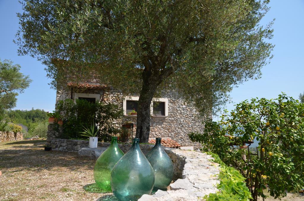 Agrestis Domus Guest House San Giovanni a Piro Exterior photo
